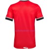 Maillot de Foot Southampton Domicile 2020-21